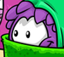 0213_puffle_furniture_sm.jpg